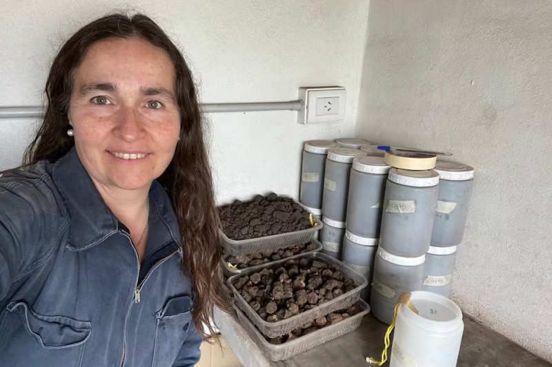 Virginia Aparicio, la investigadora sobre agroquímicos Virginia Aparicio, la investigadora sobre agroquímicos